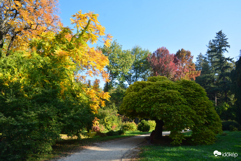 Ősz a Kámoni Arborétumban