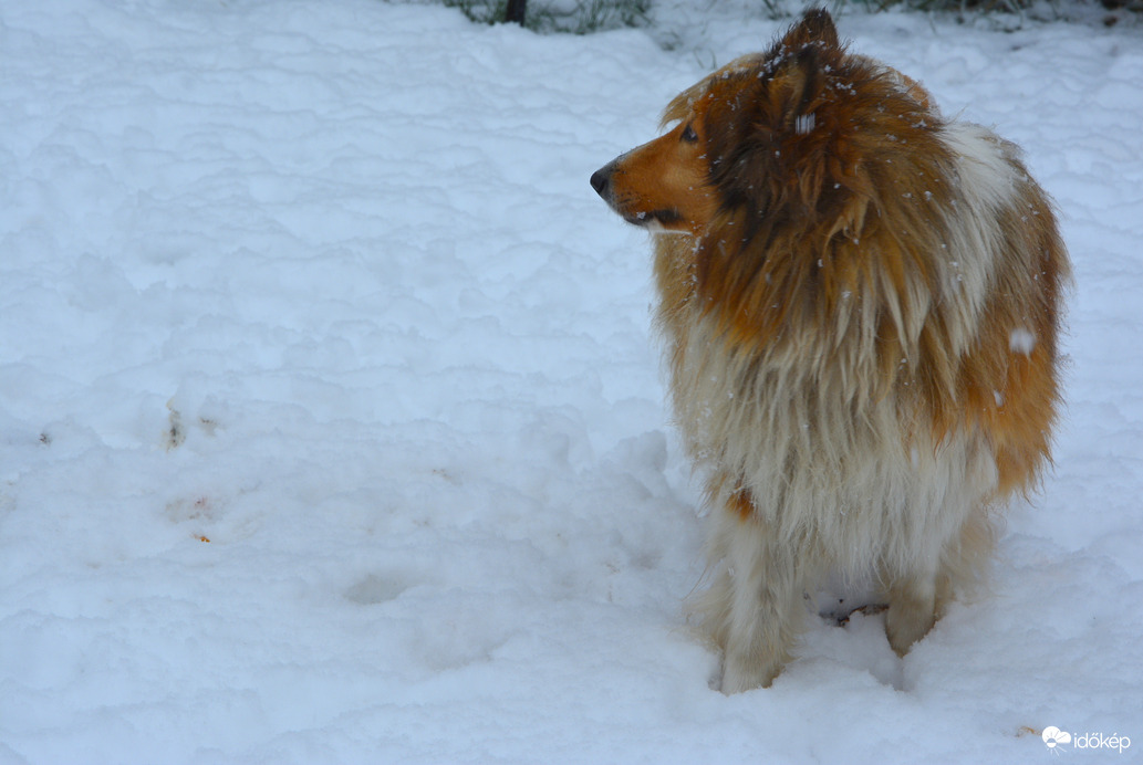 Már megint 'hózik'? 12.09.