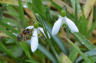 Már gyűjtögetnek 02.13.