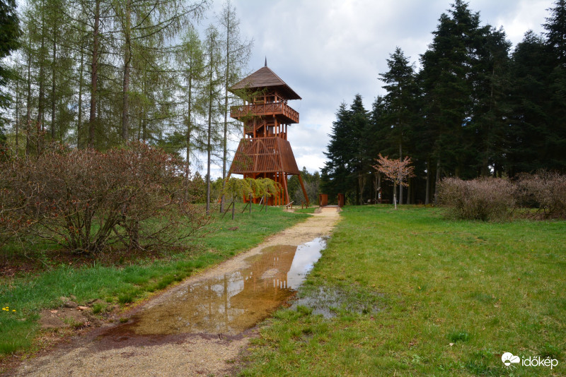 Jeli Arborétum 04.06.