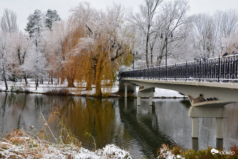2 éve ezen a napon Szombathelyen