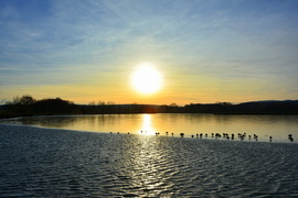 Jegesedés a kőszegi Abért-tónál 01.01.