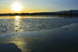Jegesedés a kőszegi Abért-tónál 01.01.