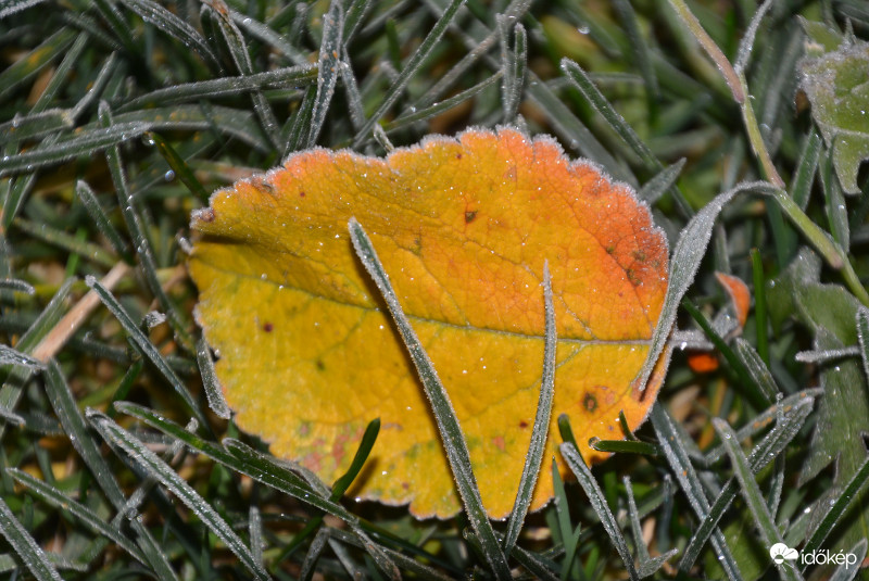 Fagyos reggel 12.01.