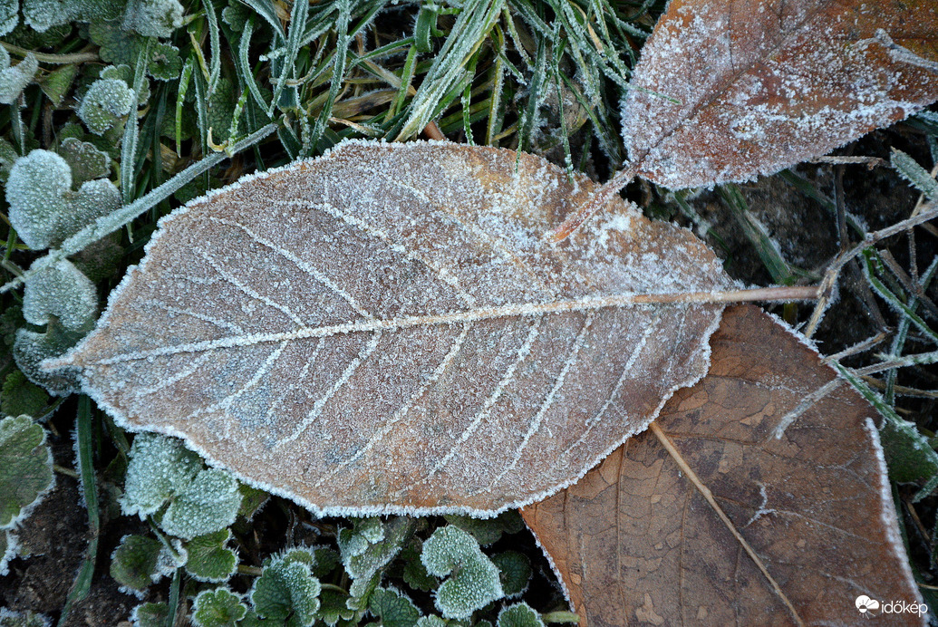 Deres reggel Szombathelyen 11.28.