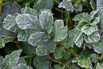 Fagyosan indult a reggel Szombathelyen 11.05.