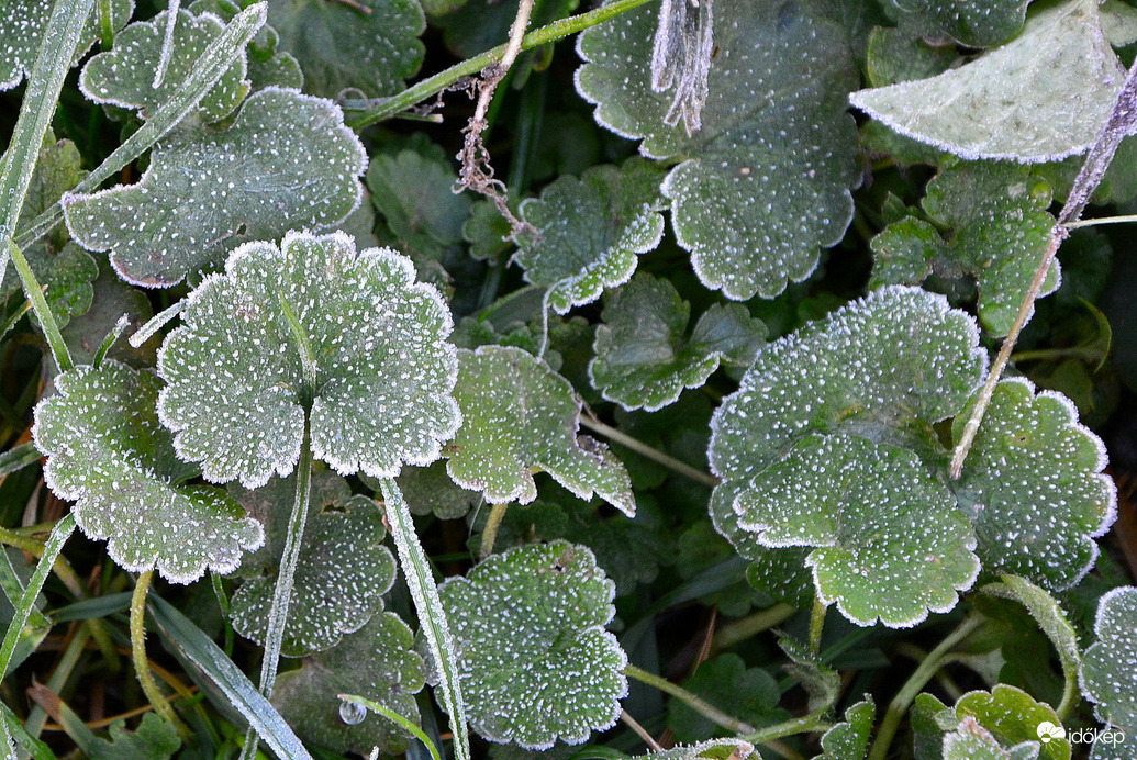 Fagyosan indult a reggel Szombathelyen 11.05.