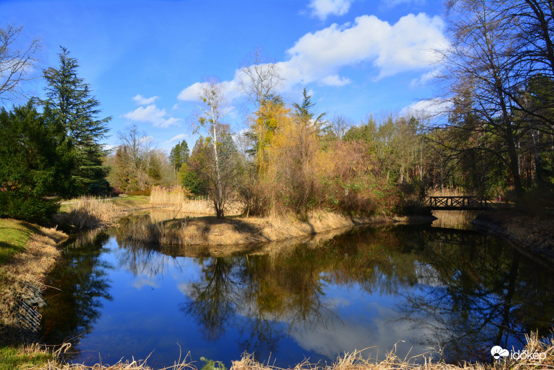 Kámoni Arborétum (Szombathely)