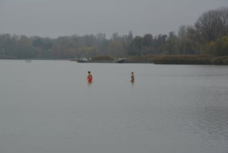 November közepén fürdőzők a Balatonban 11.16.