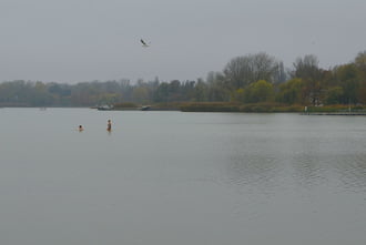 November közepén fürdőzők a Balatonban 11.16.