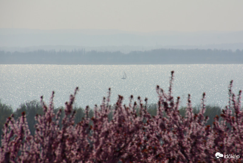 Tavasz a Balatonon