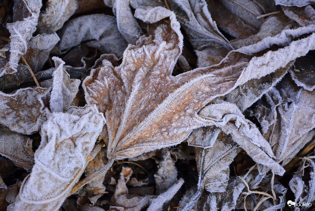 Fagyos, jeges reggel 
