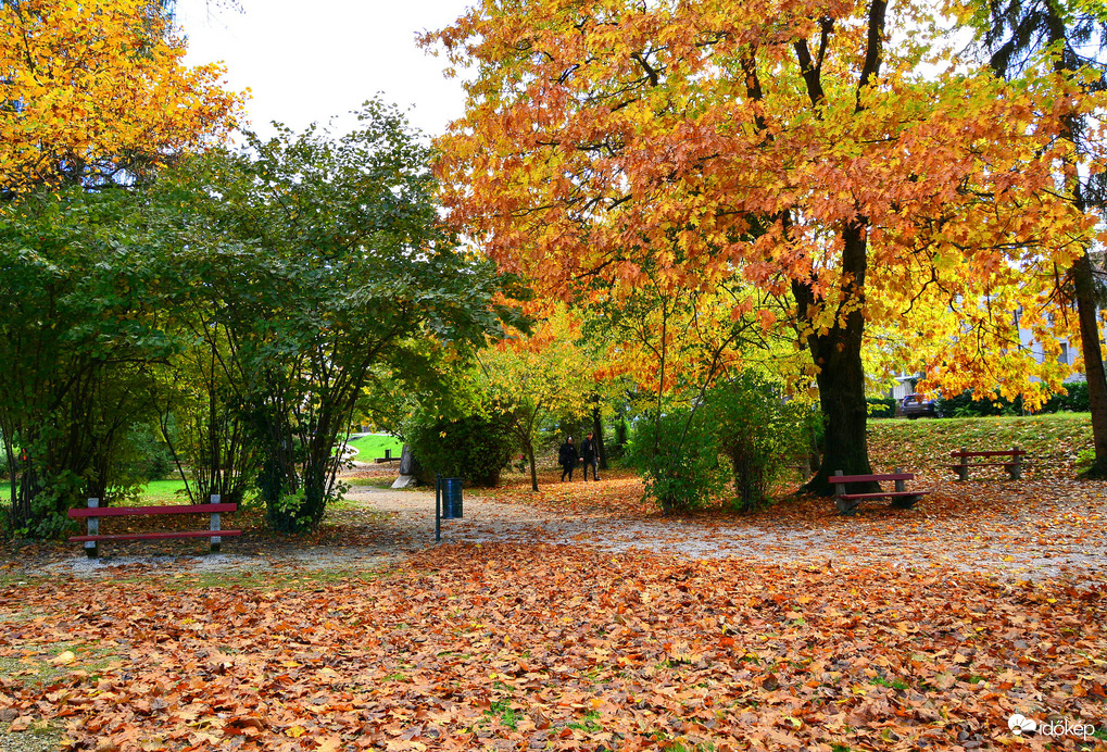 Novemberi ősz 11.04.