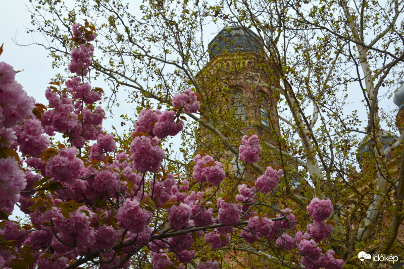 Szombathely 04.13.