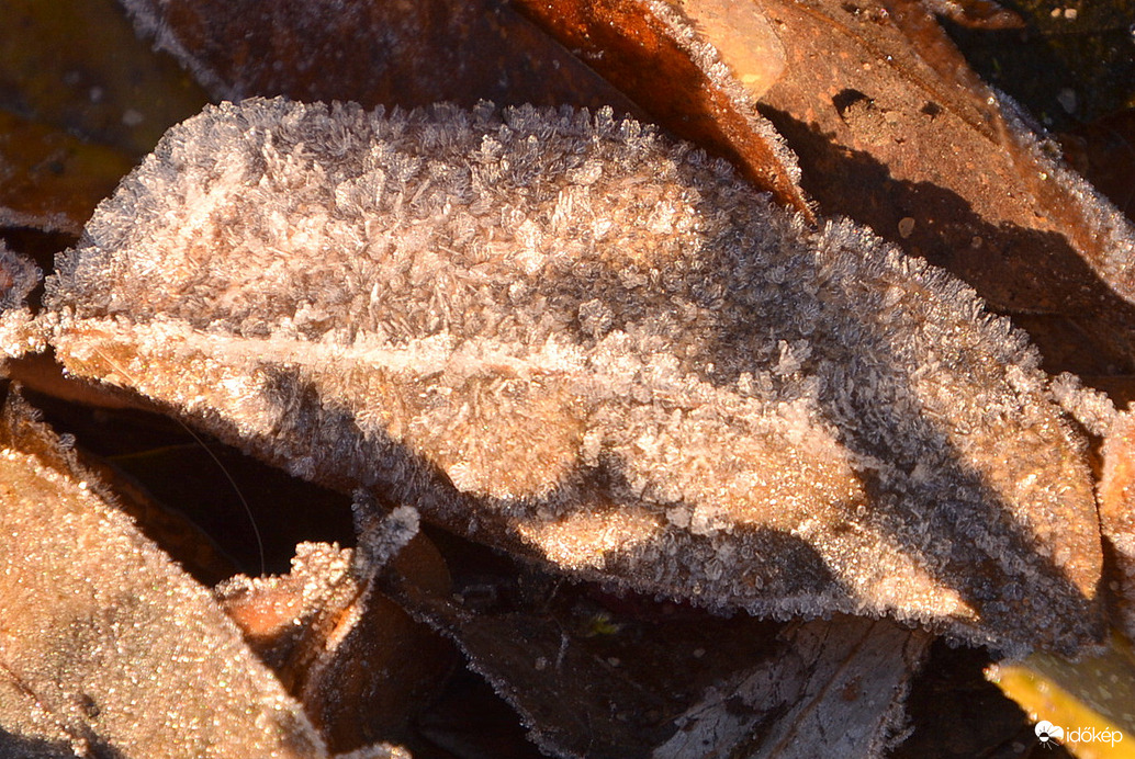 Fagyos reggel Szombathelyen 11.12.