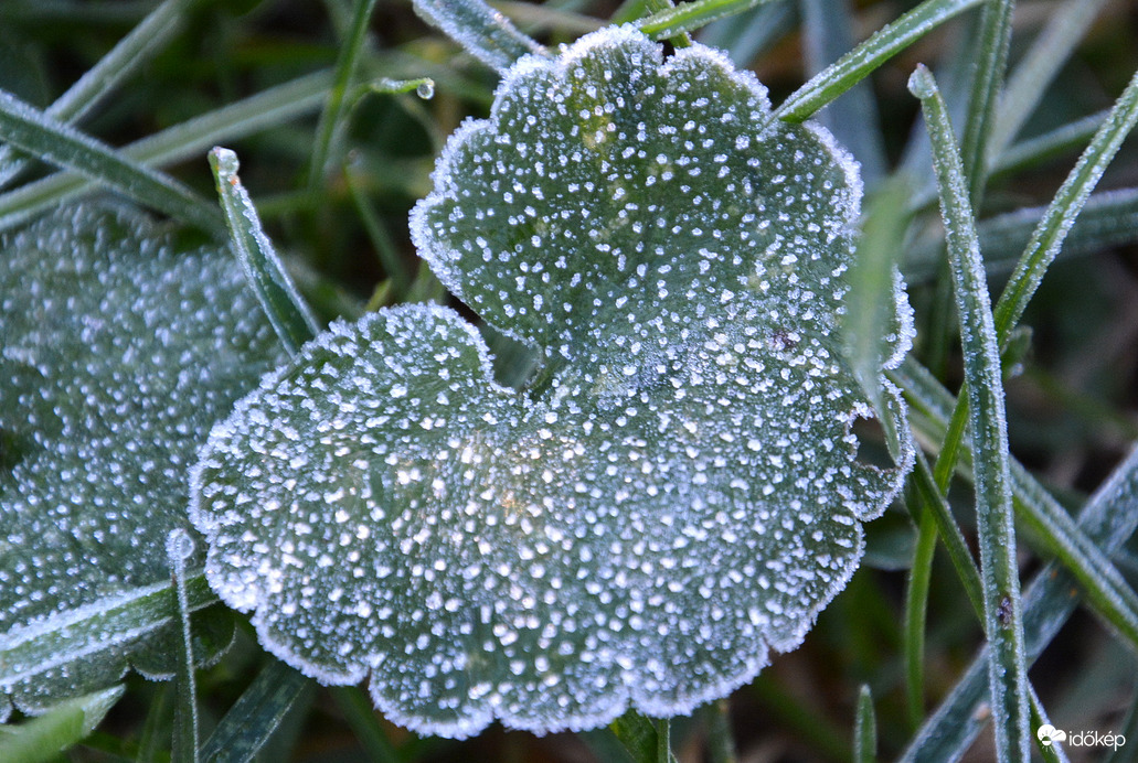 Fagyos reggel Szombathelyen 11.12.