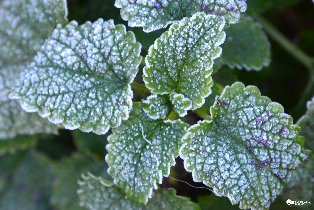 Fagyos reggel Szombathelyen 11.12.