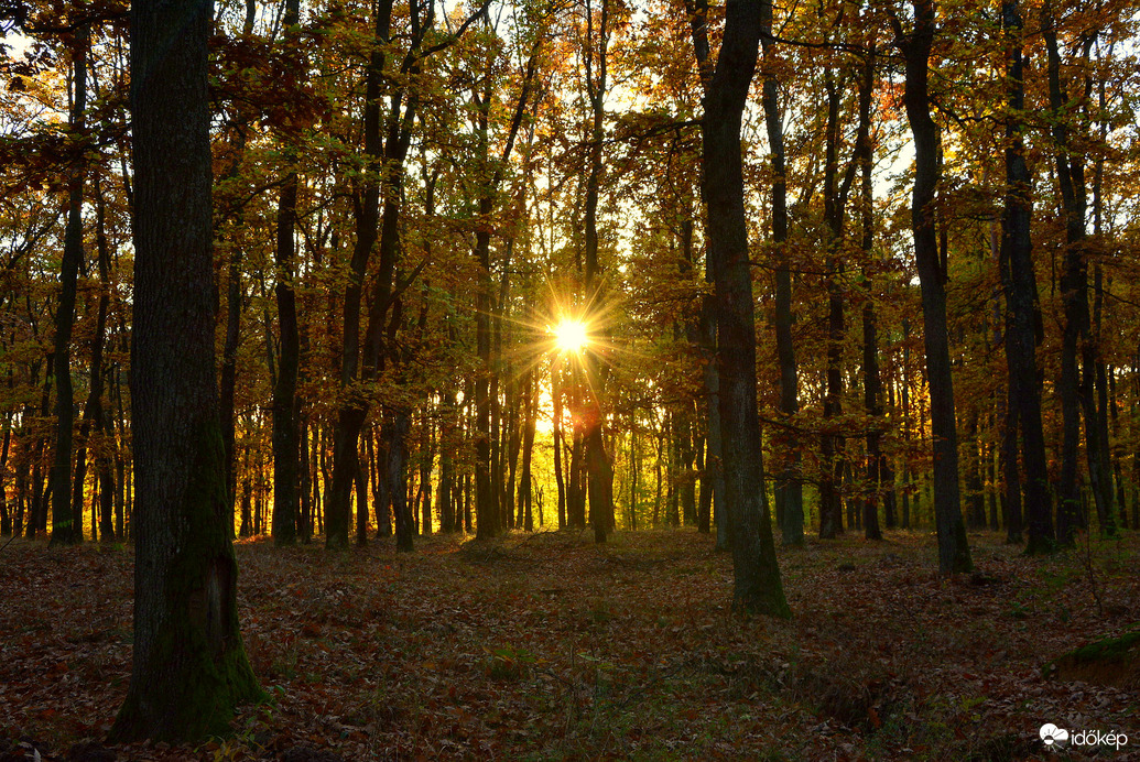 Október végi bekacsintós