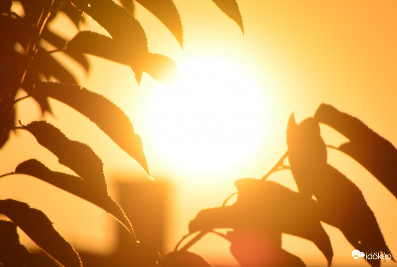 Törlés miatt, újra felteszem! Cikkbe is bekerült és kiemelt kép is lett!!