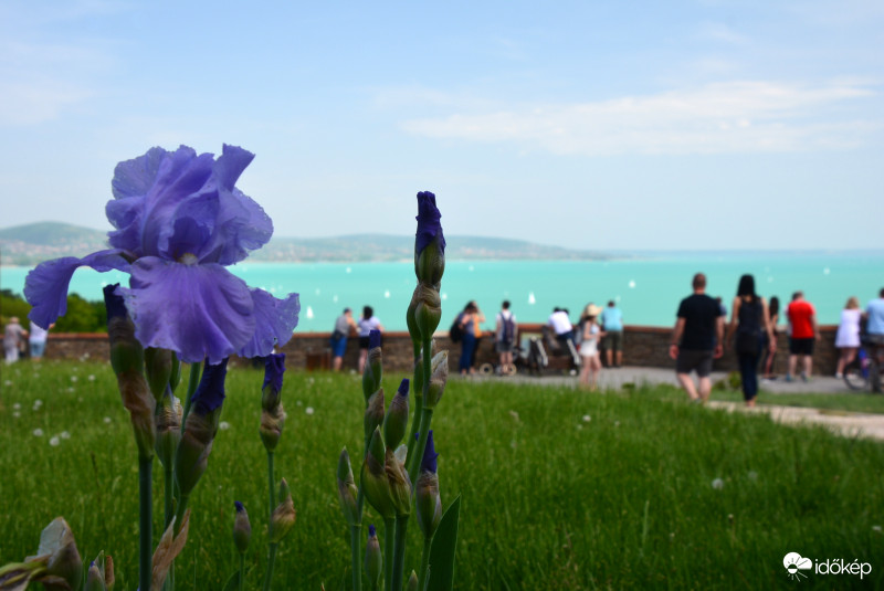 Tihany