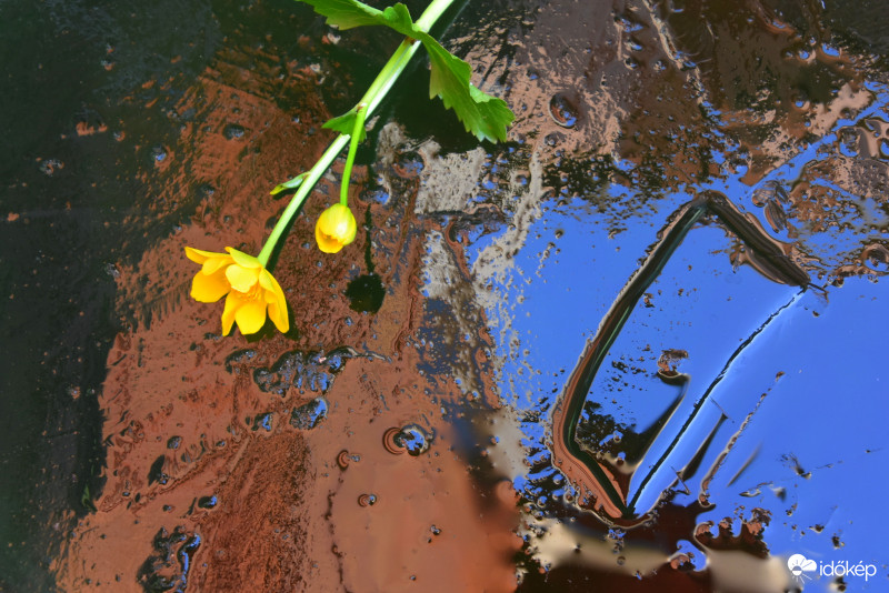 Fagyos reggel 03.23. (Szombathely)