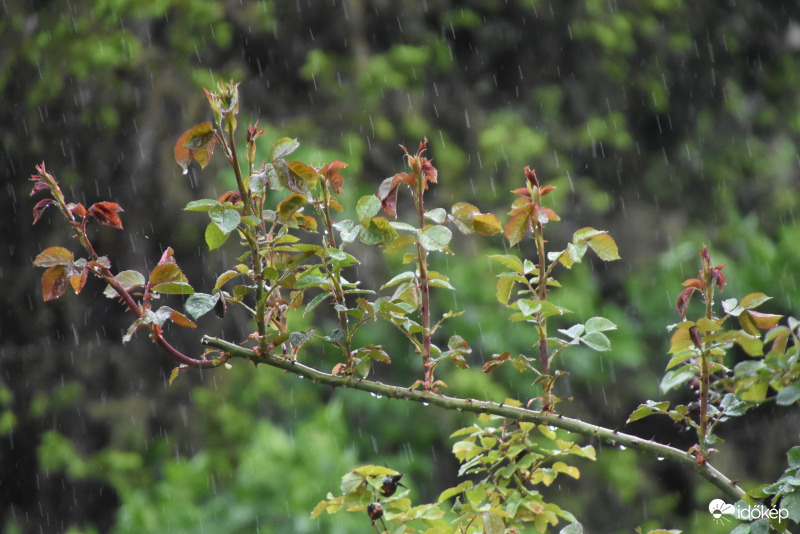 Intenzív eső jelenleg Szombathelyen