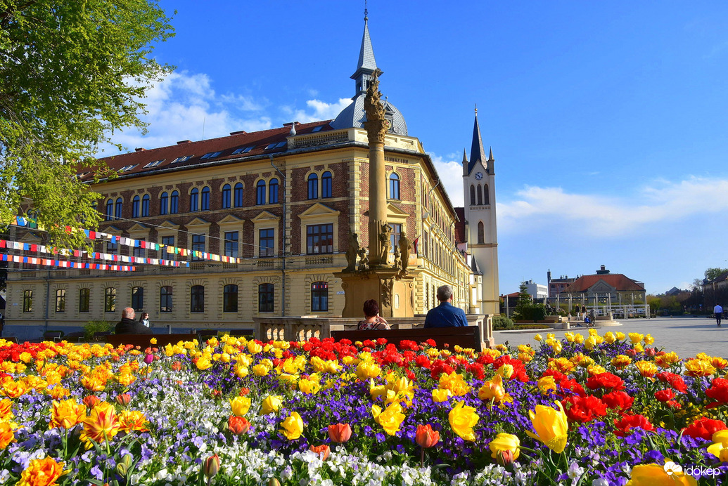 Keszthelyi tulipánok