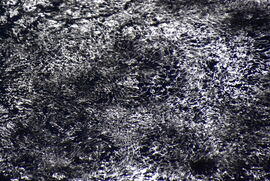 Szakadó eső 03.31.
