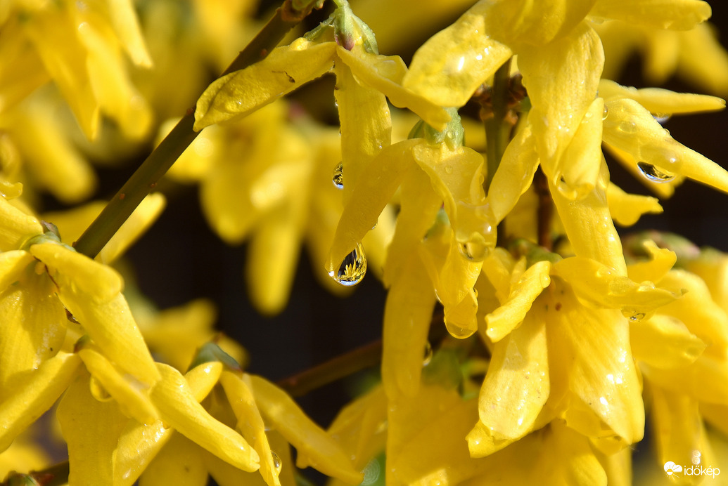 Esőcseppesen 04.01.