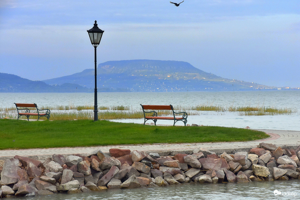 Balatongyöröki csendélet 04.23.