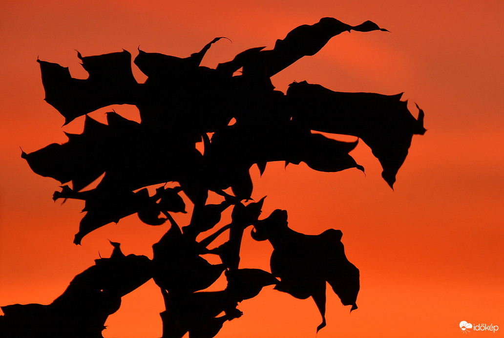 Októberi naplemente 10.11.