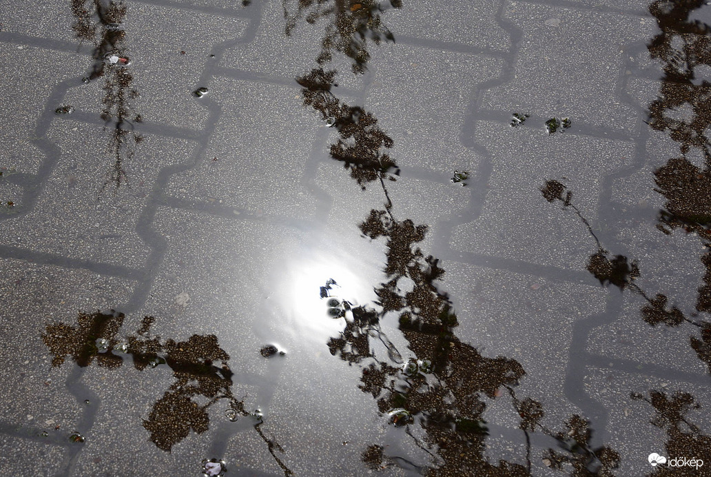 Tócsában áll a víz!