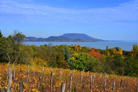 Októberi ősz Balatongyörökön 10.25.