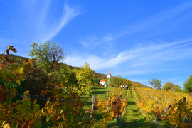Októberi ősz Balatongyörökön 10.25.