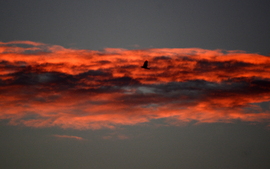 Reggeli szép 11.02.