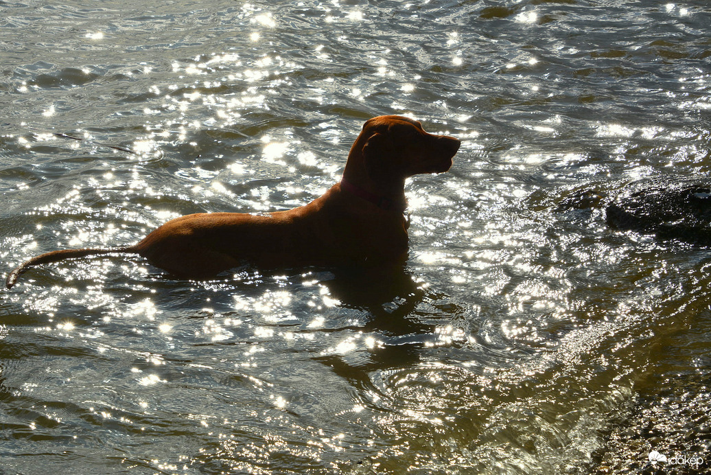 Fürödtem a Balatonban! :)) 04.26.