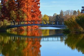 Gyönyörű ősz novemberben Szombathelyen 11.05.