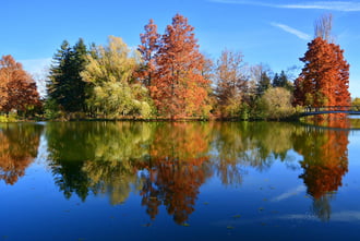 Gyönyörű ősz novemberben Szombathelyen 11.05.