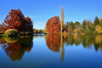 Gyönyörű ősz novemberben Szombathelyen 11.05.