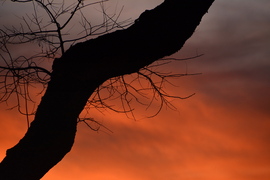 Narancsos naplemente 12.08.