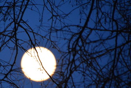 Hajnali Telihold 01.03.