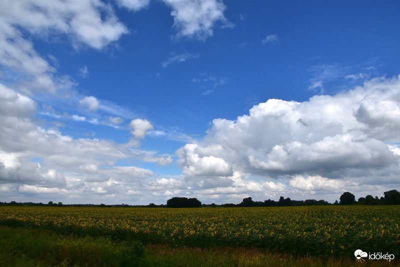 Sárvár határában 07.19.