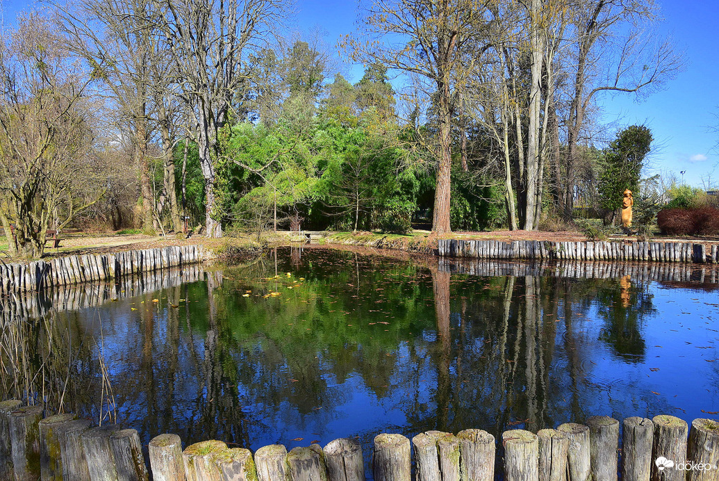 Kámoni Arborétum 03.03.
