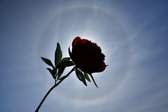 Naphaló jelenleg Szombathely égboltján