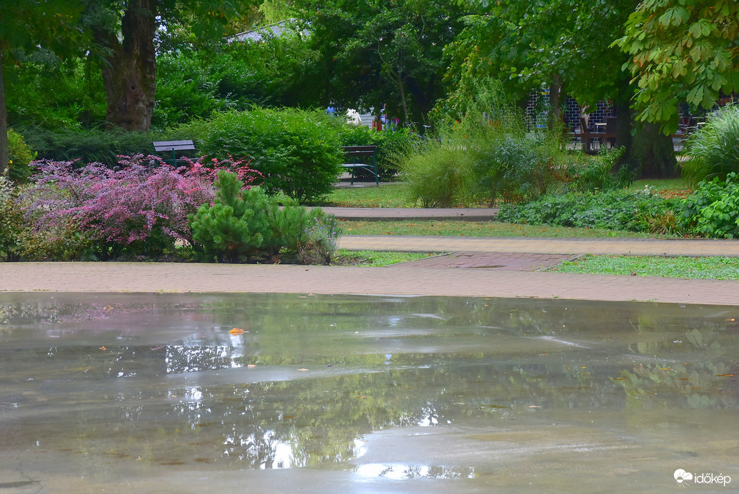 Eső áztatta park 08.22.