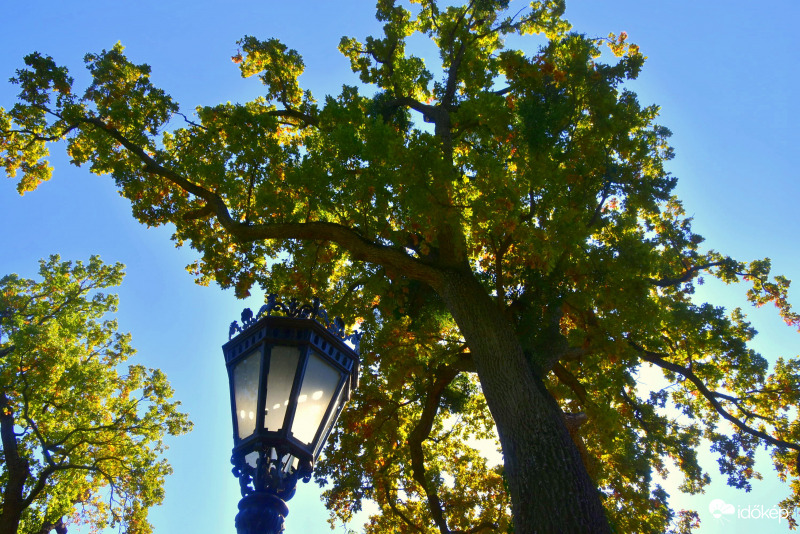 Ősz a keszthelyi Festetics-kastély parkjában 10.01.