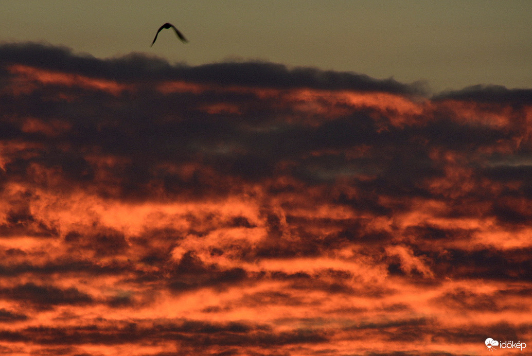 Reggeli izzás 09.24.