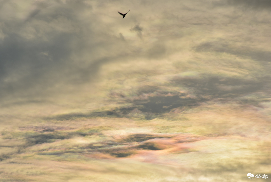 Kora reggeli irizáló felhők Szombathely felett 08.28.