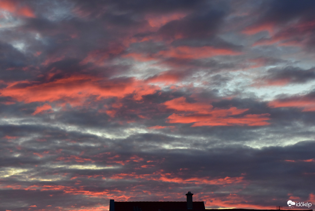 Hajnali ecsetvonások 08.29.