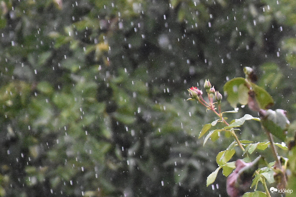 Szombathelyen esik 09.10.